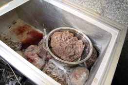 فیلم | وقتی امام جمعه شهر زیر سوال می رود؟! فیلم | وقتی امام جمعه شهر زیر سوال می رود؟!